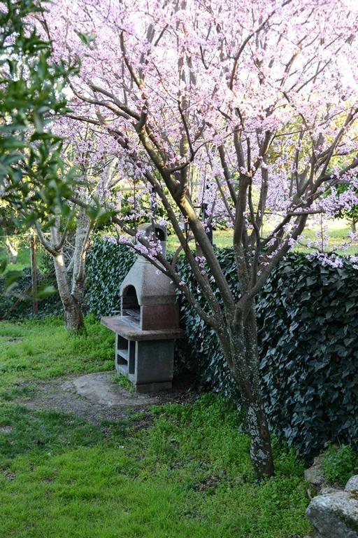 Casa Rural El Pilar Асебо Экстерьер фото
