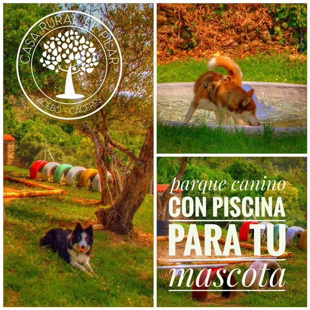Casa Rural El Pilar Асебо Экстерьер фото